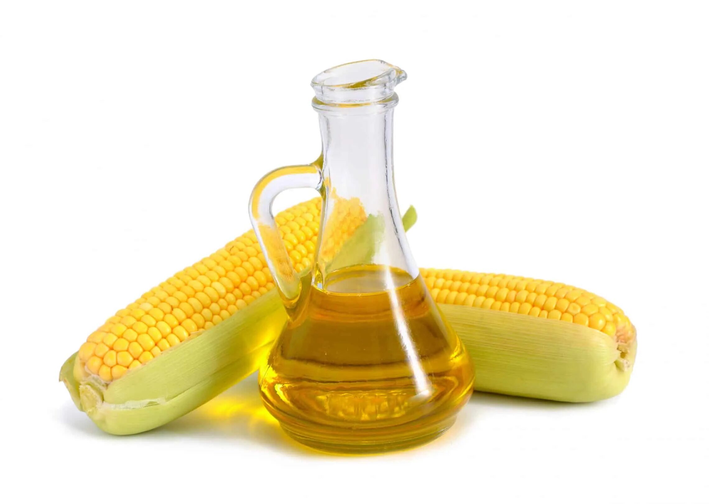 Corn oil in a carafe, peeled corn cobs and grains, text space isolated on a white background